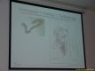 daaam_2005_opatija_pleanary_lectures_lunch_007