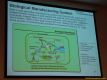 daaam_2005_opatija_pleanary_lectures_lunch_116