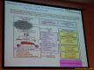 daaam_2005_opatija_pleanary_lectures_lunch_127