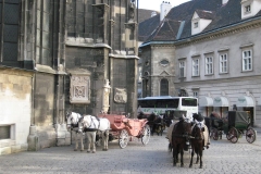 daaam_2009_vienna_album_maxim_mikhailov_vienna_i_054