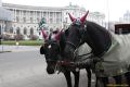 daaam_2011_vienna_02_magic_city_of_vienna_182