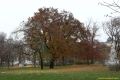 daaam_2011_vienna_02_magic_city_of_vienna_217