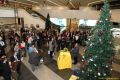 daaam_2011_vienna_04_ice_breaking_&_registration_207