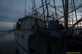 daaam_2015_zadar_00_city_of_zadar_039