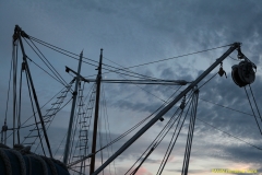 daaam_2015_zadar_00_city_of_zadar_035