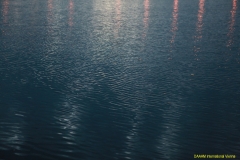 daaam_2015_zadar_00_city_of_zadar_041