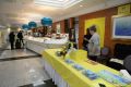 daaam_2017_zadar_01_registration__ice_breaking_party_019