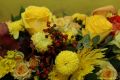 daaam_2017_zadar_05_conference_dinner_welcome_017