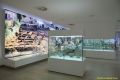 daaam_2017_zadar_16_the_6th_ds_museum_of_ancient_glass_tour_051