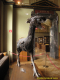 2nd_bstu_visit_naturhistorisches_museum_050