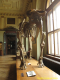 2nd_bstu_visit_naturhistorisches_museum_051