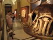 2nd_bstu_visit_naturhistorisches_museum_061