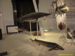 2nd_bstu_visit_naturhistorisches_museum_067