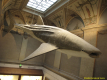 2nd_bstu_visit_naturhistorisches_museum_085