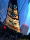 3rd_diisnsv_20160623_a_071