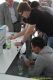 3rd_diisnsv_20160624_a_079