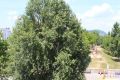 3rd_DIISNSV_20160626_b_135