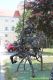 3rd_DIISNSV_20160626_b_154