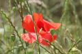 3rd_DIISNSV_20160626_b_168
