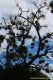3rd_diisnsv_20160621_26_a_109