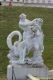 3rd_DIISNSV_20160621_26_a_278