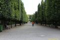3rd_DIISNSV_20160621_26_a_291