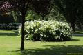 3rd_DIISNSV_20160621_26_a_292