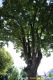 4th_diisnsv_20160624_b_145