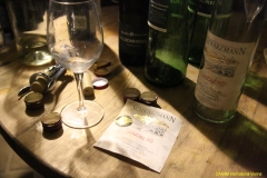 iiv_2013_vienna_04_wine_cellar_039