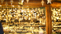 iiv_2013_vienna_album_novikova_zinaida_035